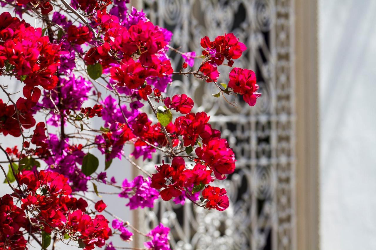 Riad Clementine Marrakesh Ngoại thất bức ảnh